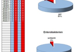 Auswertung-Abteilung