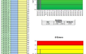 Schlachthygiene-HV.Auswertung