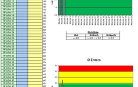 Schlachthygiene-BV.Auswertung